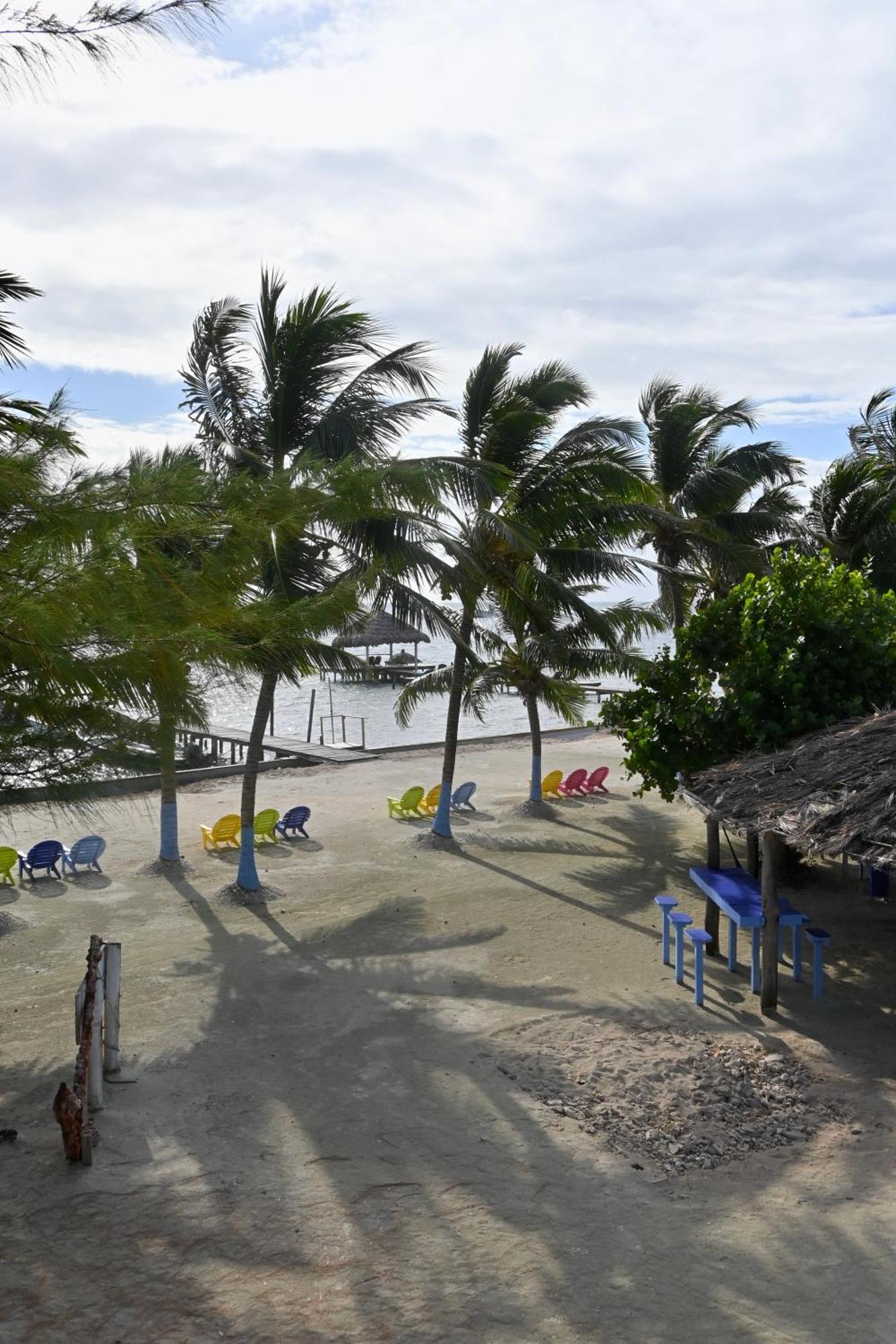 Anchorage Beach Resort Caye Caulker Eksteriør billede
