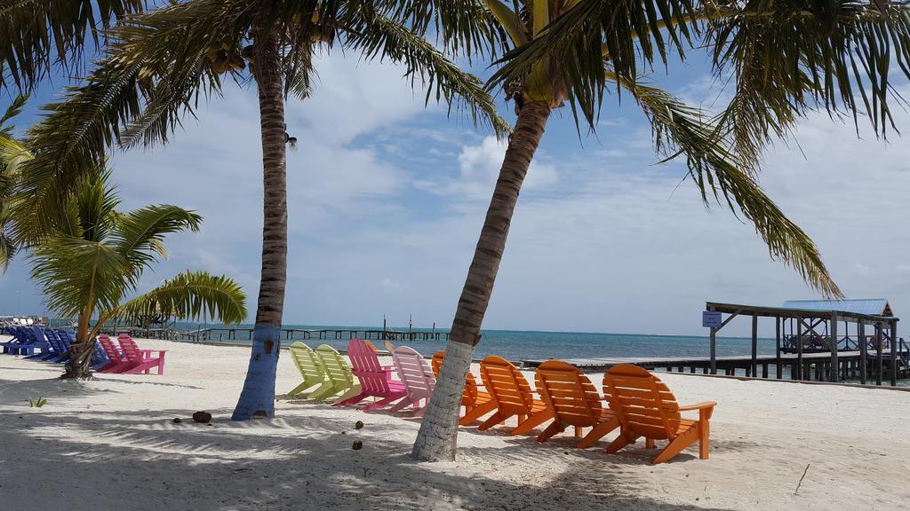 Anchorage Beach Resort Caye Caulker Eksteriør billede