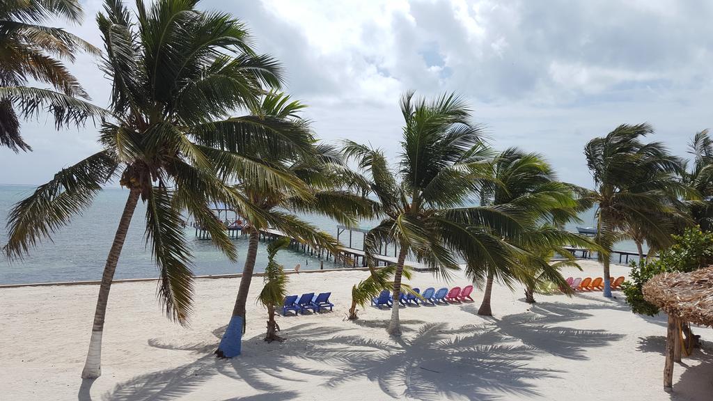Anchorage Beach Resort Caye Caulker Eksteriør billede